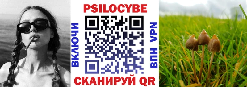 Галлюциногенные грибы MAGIC MUSHROOMS  даркнет какой сайт  Среднеколымск 